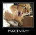 Ганиев Самат фотография #12