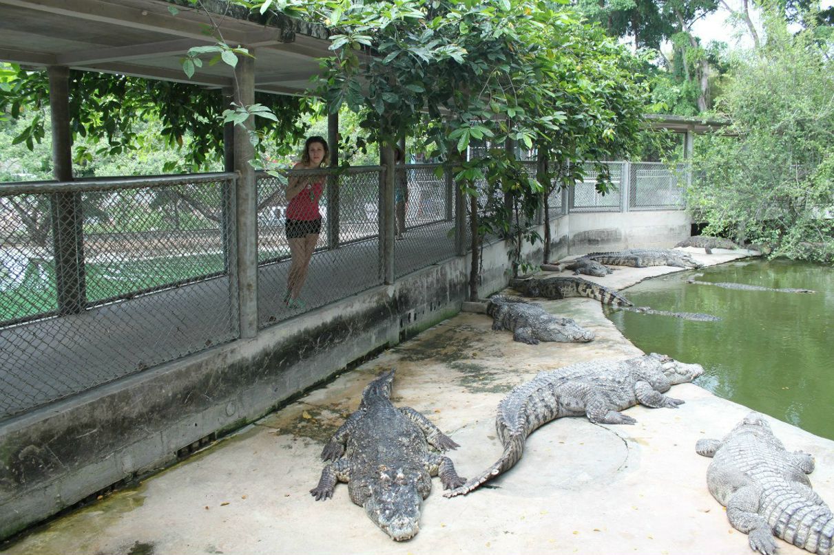 Галина Голинова | Алматы