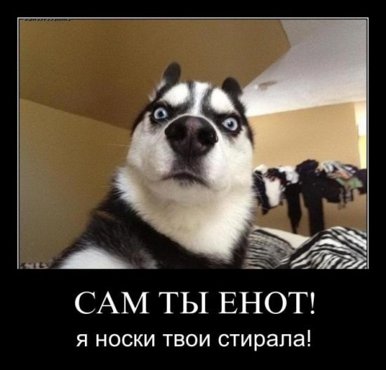 Яна Ариева L_eVi_Я | London