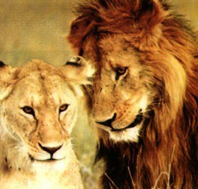 №25, Татьяна Симугина, Харьков №25, Татьяна Симугина, Харьков