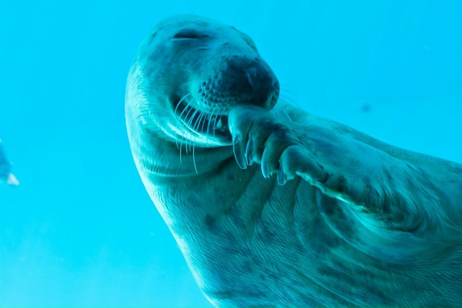 №73, Александра Воробьева, Тюмень №73, Александра Воробьева, Тюмень