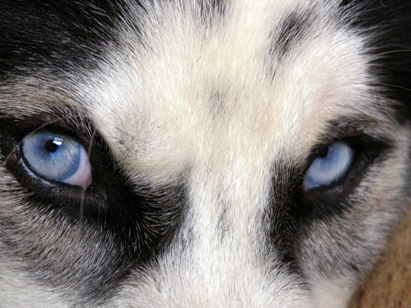 Евдокия Соколова Dasha | Санкт-Петербург