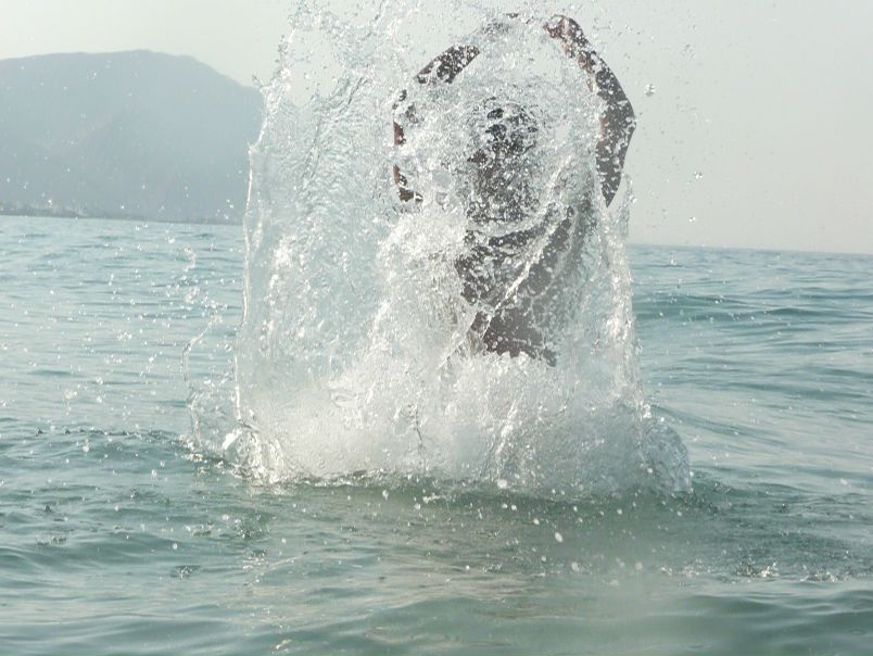 №26, Mido Doe, Cairo №26, Mido Doe, Cairo