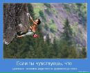Фотография Александр Кравченко