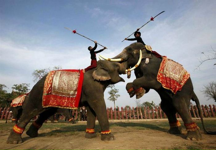 №8, Юрий Осипенко, 47 лет, Харьков №8, Юрий Осипенко, 47 лет, Харьков