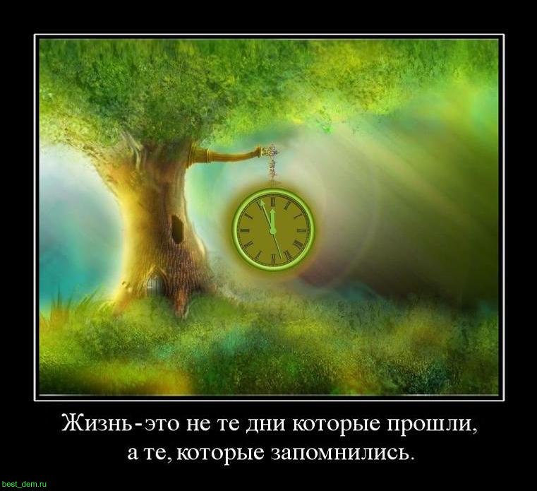 Елена Шварц | Самара