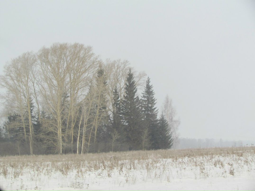 Айдар Хазиев | Набережные Челны