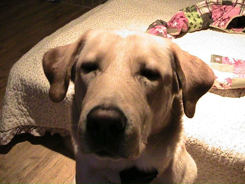 Вячеслав Чёрный | Москва