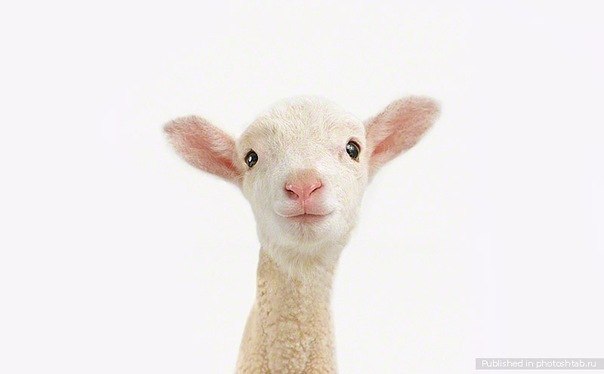 Маритана Иванова | Москва