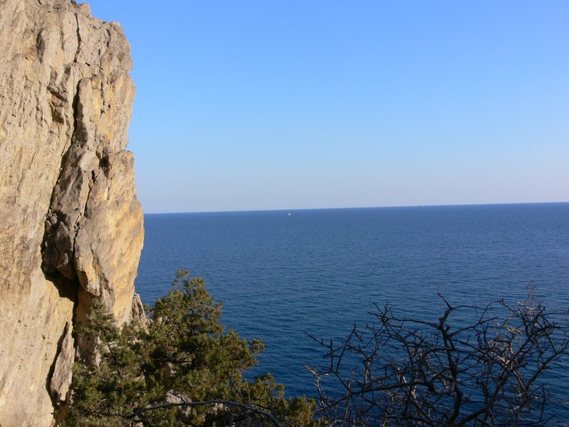 Маришка Решетняк | Черновцы