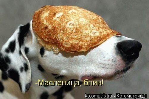 Елена Зарубина | Одесса