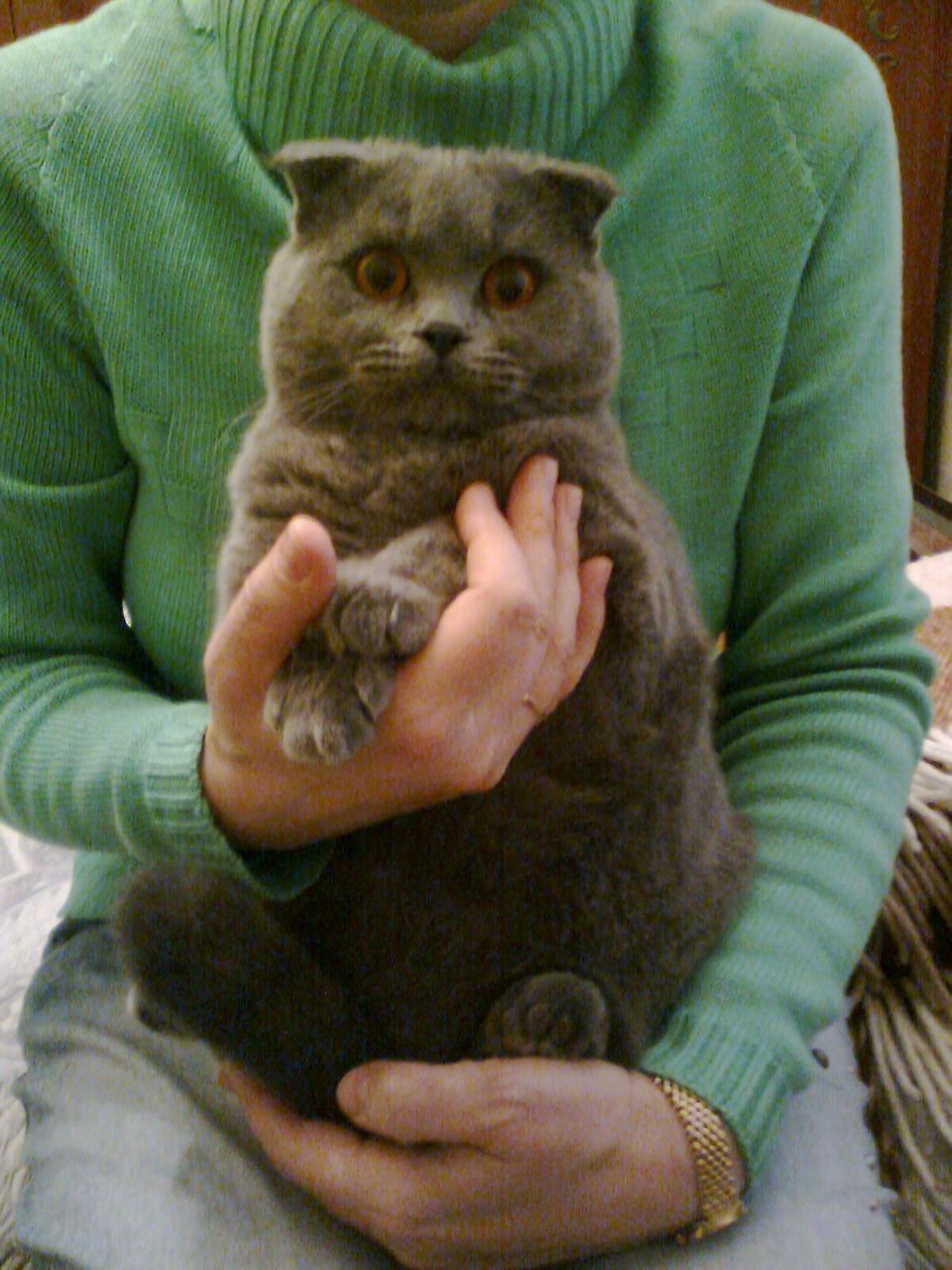 Дмитро Гапонов | 