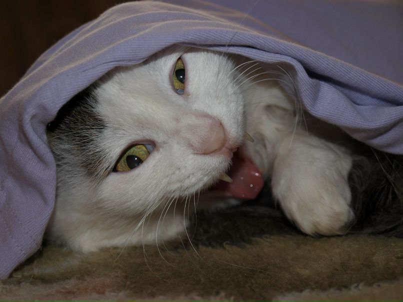 Виктор Деревяшкин Сергеевич | Орск