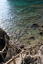 Дарья Якушева, Красноярск, Россия, 07.06