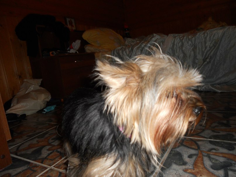 Софья Романовская | Санкт-Петербург