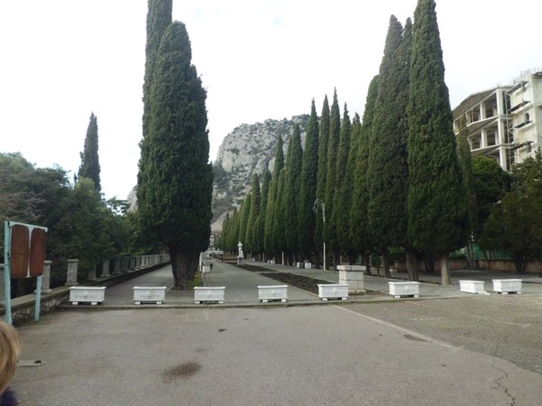 Ii Сайбатулова фото со стены #5