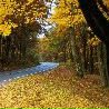 №6 Елена Хисматуллина : профиль, фото, статус - ВКонтакте