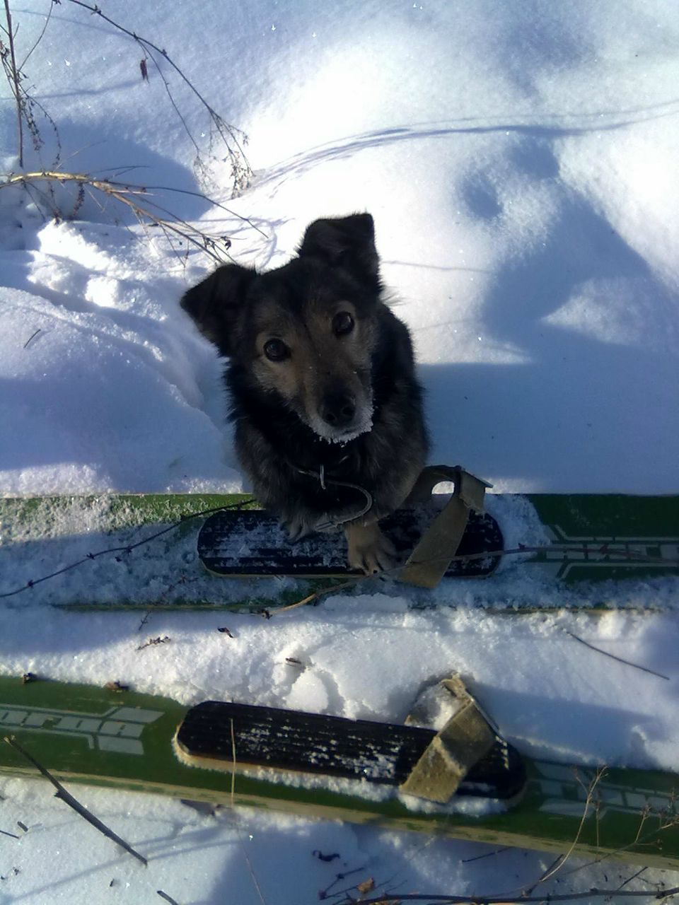 Петр Гаврилин | Москва