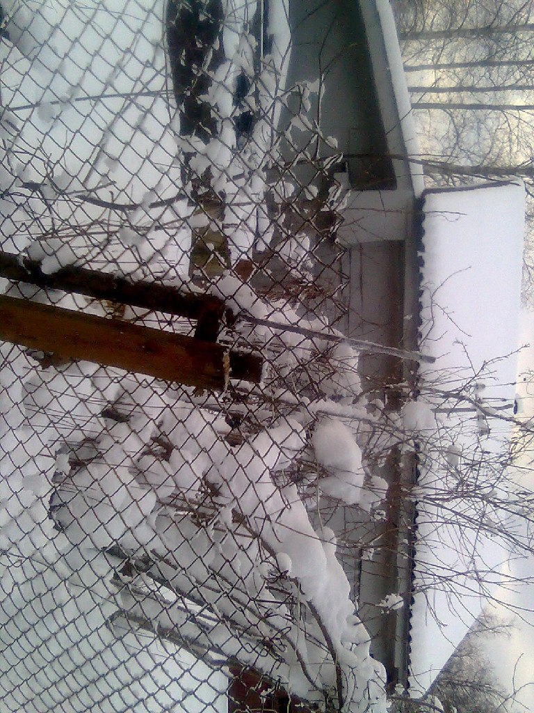 Сергей Андреев | Санкт-Петербург