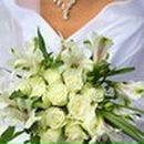 Людмила Наумова | Киев