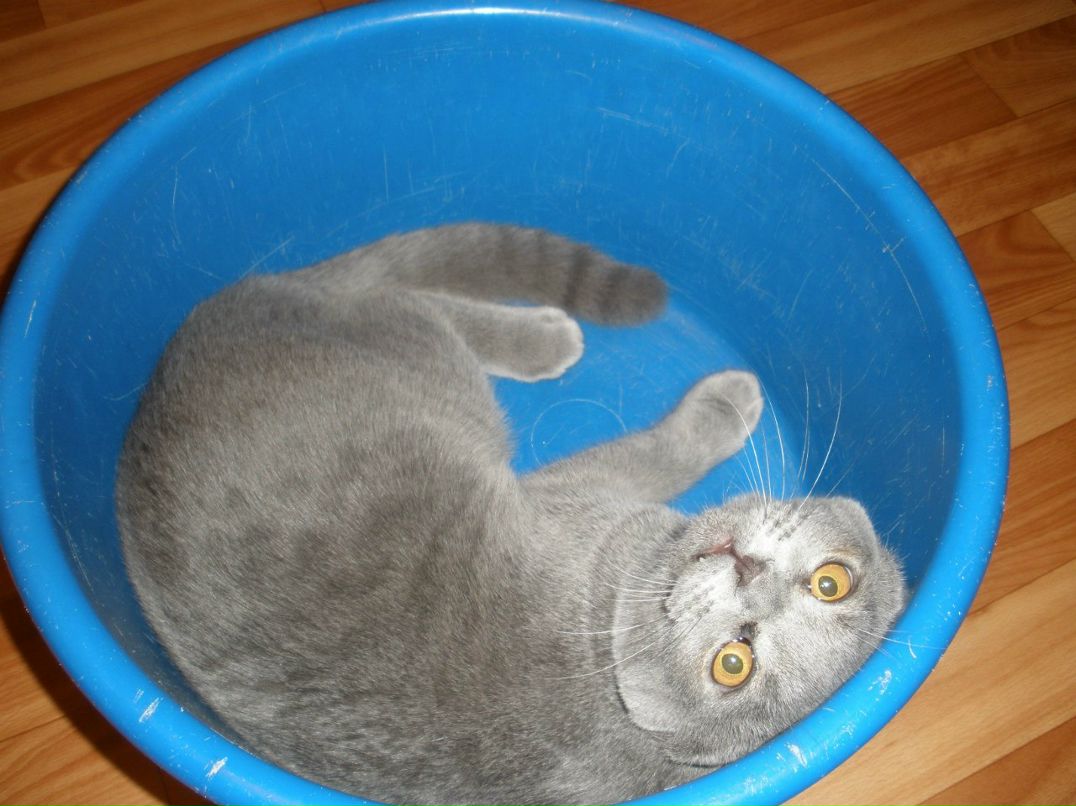 Светлана Острова | Москва