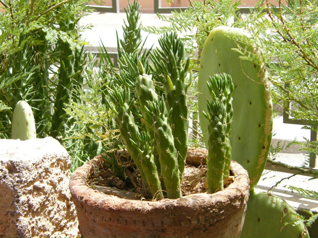 Регина Патюкова | Краснодар