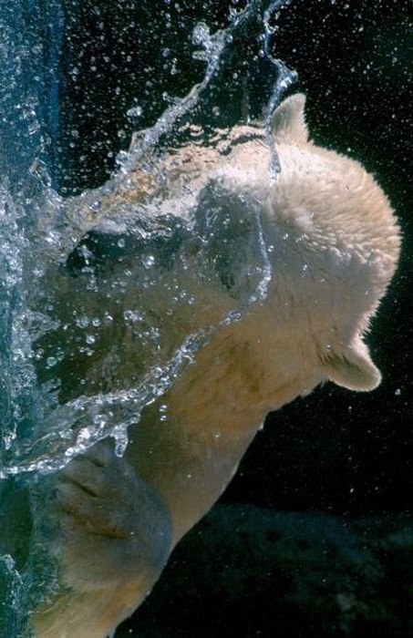 Роман Никитцев | Одинцово