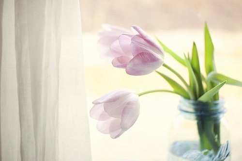 Людмила Куликова | Тамбов