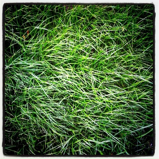 №45, Андрей Герцен №45, Андрей Герцен