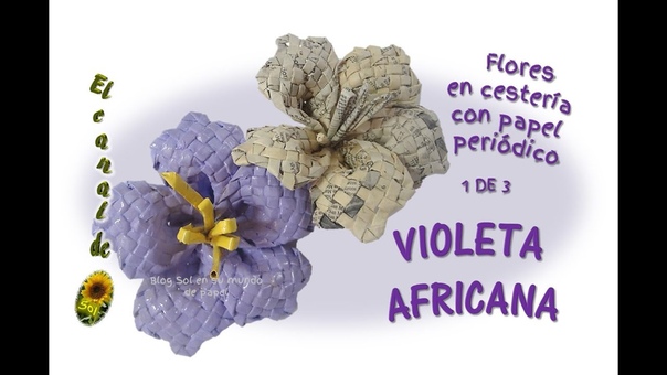 Violeta africana, flores de papel African violet, paper