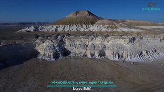 Көкмойнақтың үйірі Адай тағдыры
