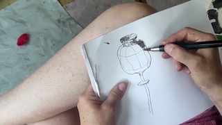 Как нарисовать коробочку мака? Графический разбор от Елены Ильичевой
