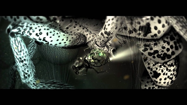 HENRY WALTZ VISUAL