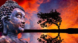 528Hz Full Body Regeneration | Raise Self Love & Positive Energy | Miracle Healing Meditation Tones