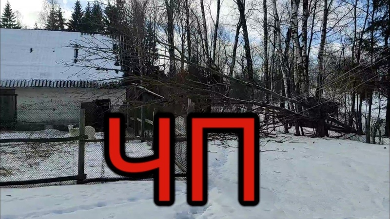 ЧП на