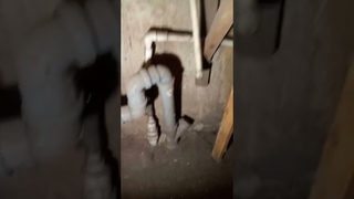 гидрозатвор своими руками