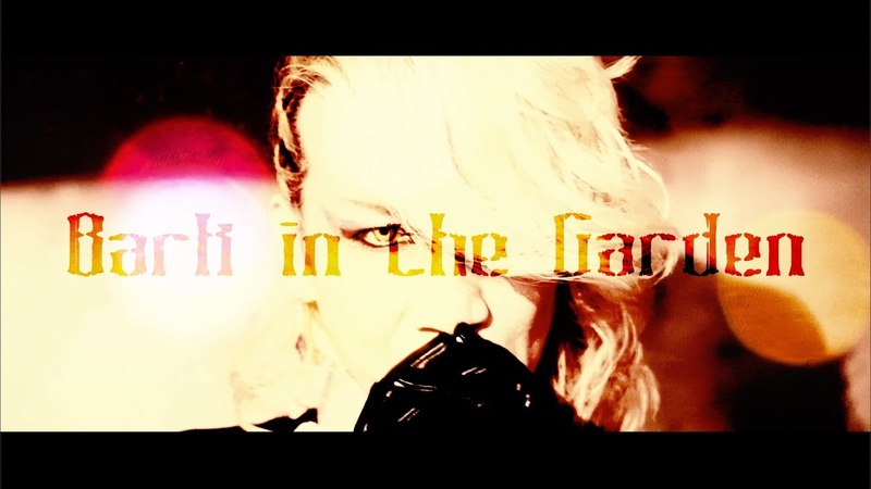 The Benjamin, Bark in the Garden MV