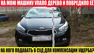 НА МАШИНУ УПАЛО ДЕРЕВО//НА КОГО ПОДАВАТЬ В СУД//КАК ПОЛУЧИТЬ КОМПЕНСАЦИЮ