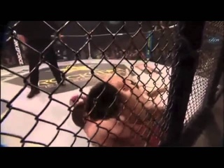Cung Le - Ultimate Highlights