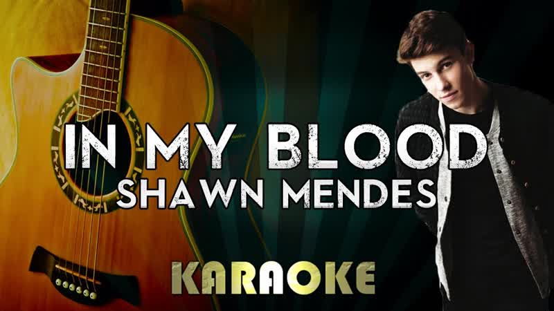 Shawn Mendes In My Blood, LOWER Key Acoustic Guitar Karaoke Instrumental Lyrics Cover Sing