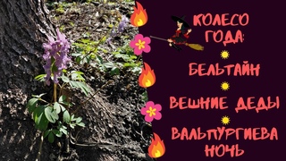 Колесо Года: Бельтайн, Вешние Деды, Вальпургиева ночь, Живин день, Майское дерево, Праздник Цветов