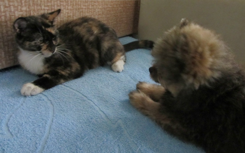 Марина Гриценко | Москва