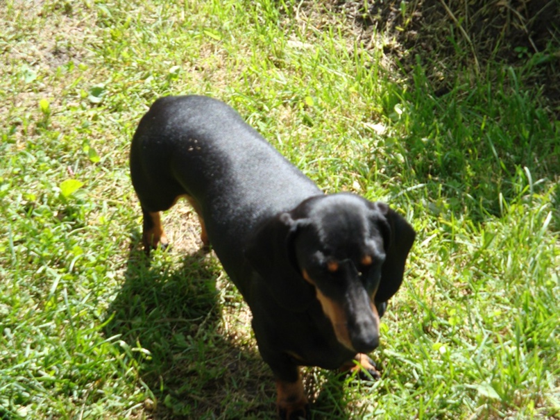 Ольга Степанова | Санкт-Петербург