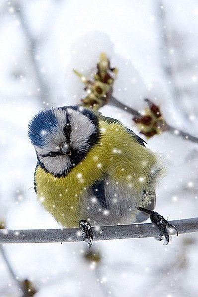 Марина Московская | Тюмень