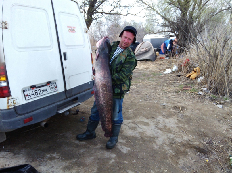 Олег Кустов | Клин