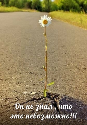 Анна Невзорова |