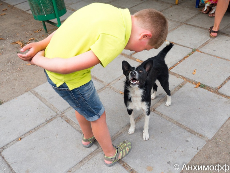 Даниил Анхимов | Санкт-Петербург