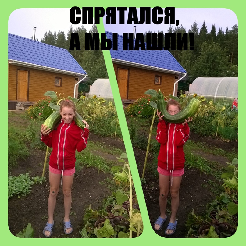 Ольга Зверкова | Нижний Тагил