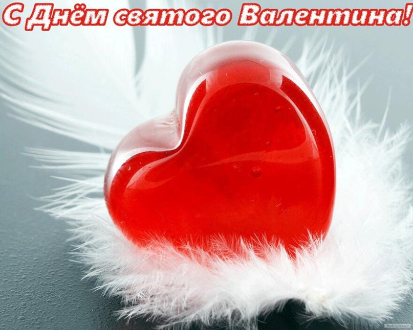 Елена Кулиничева | Мурманск