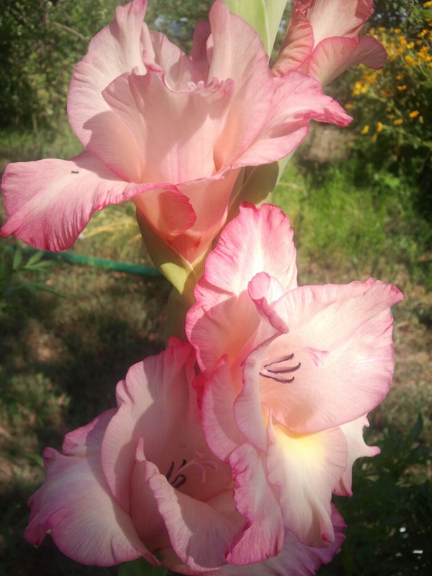 Наталия Олейникова | Волгоград